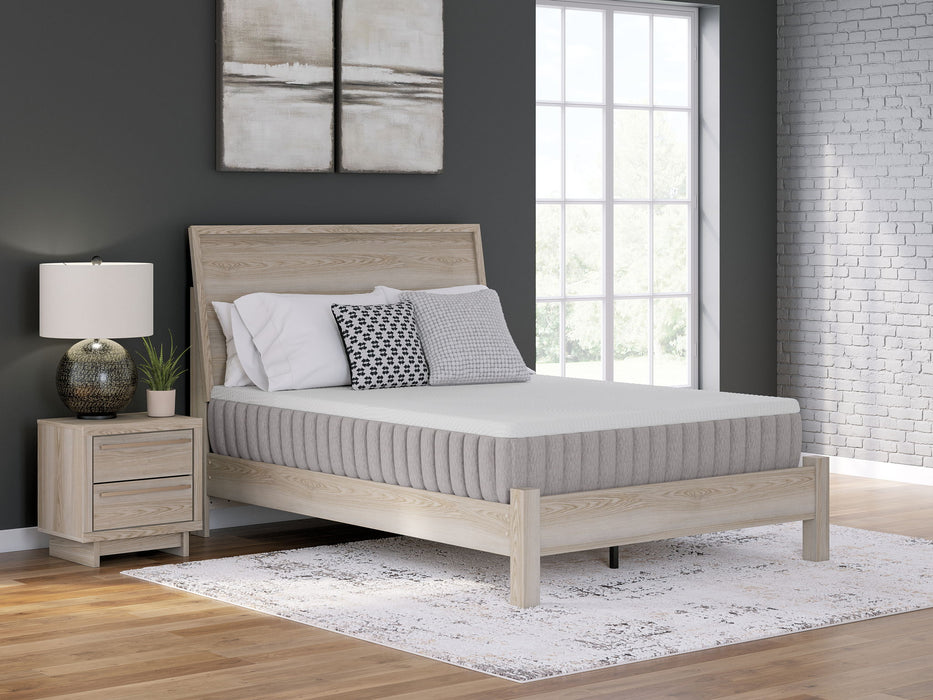 Terra Sleep Medium - King Mattress - White